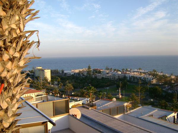 View Details 1349833293SDMFLAZU_foto_1LTnDy.jpg